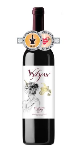 Vylyan Syrah 2017 (0,75l)