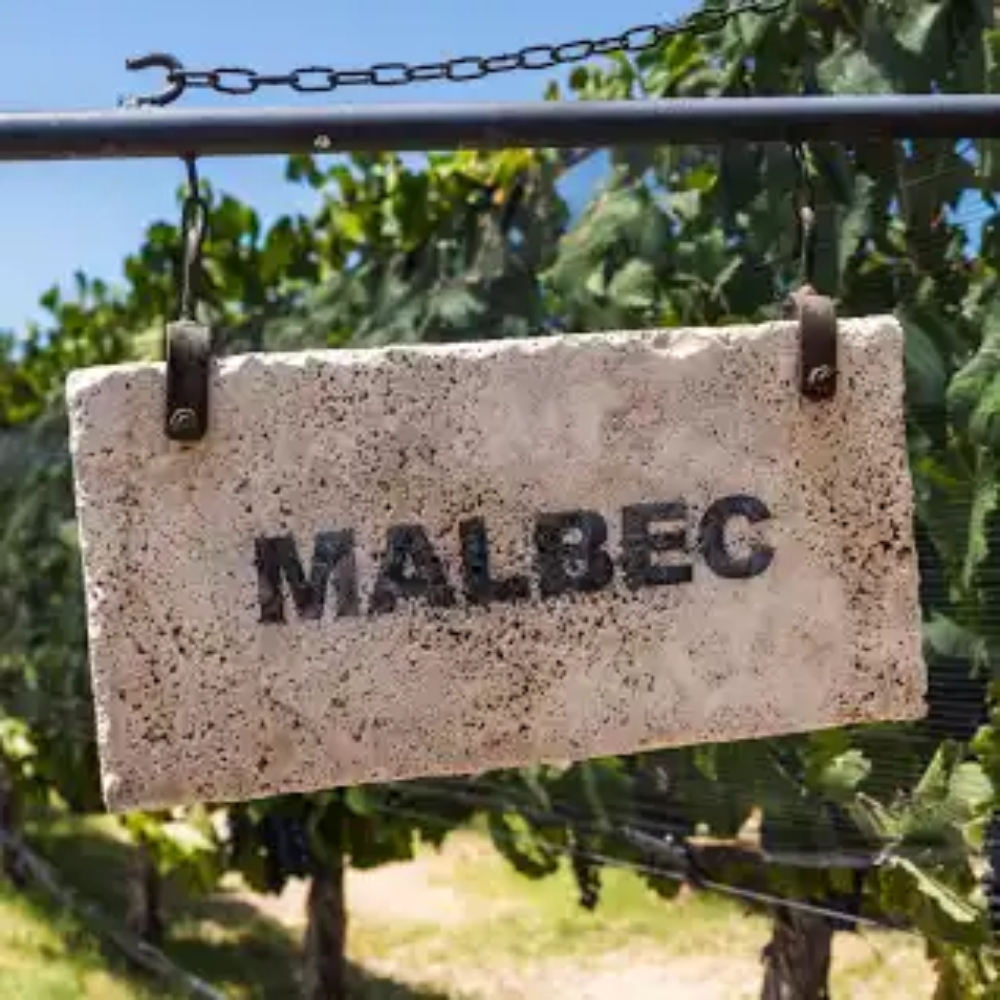 Malbec Nemzetközi Nap